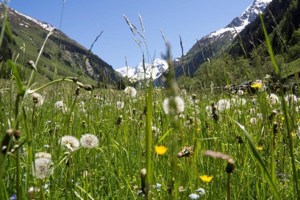 Hotel Garni Roesslhof Hollersbach im Pinzgau Esterno foto