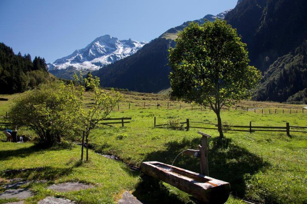Hotel Garni Roesslhof Hollersbach im Pinzgau Esterno foto