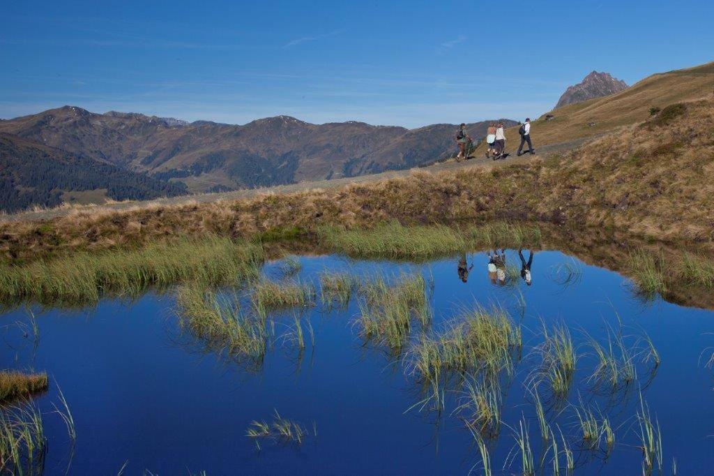 Hotel Garni Roesslhof Hollersbach im Pinzgau Esterno foto