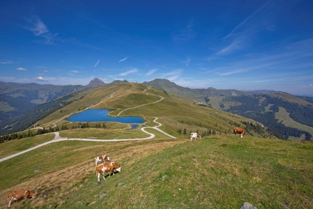 Hotel Garni Roesslhof Hollersbach im Pinzgau Esterno foto